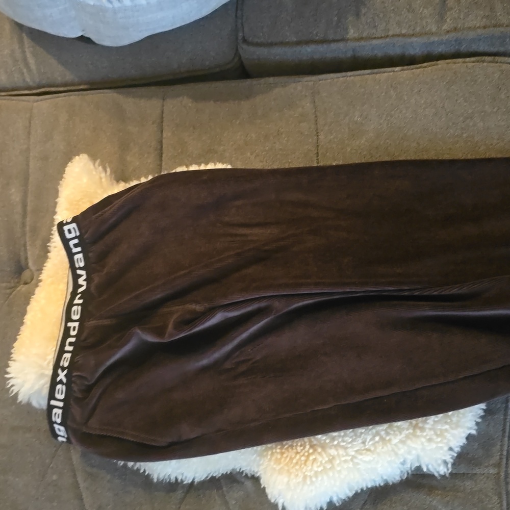 Alexander wang velour joggers